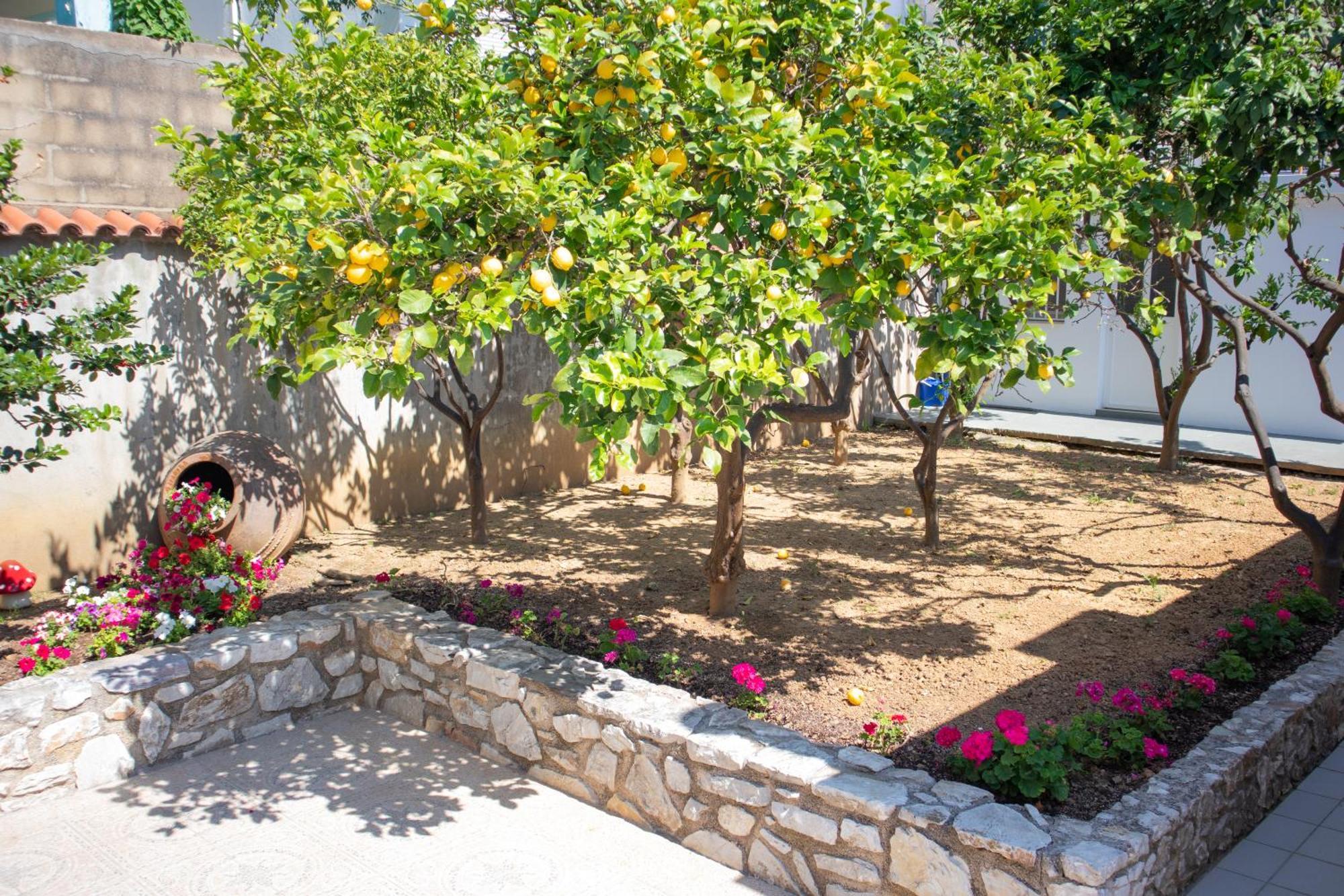 Athanasia Apartments Skiathos Chora Extérieur photo